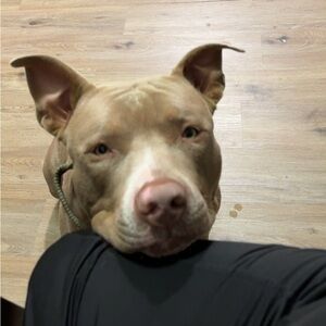 Meet your Posher, Vanessa